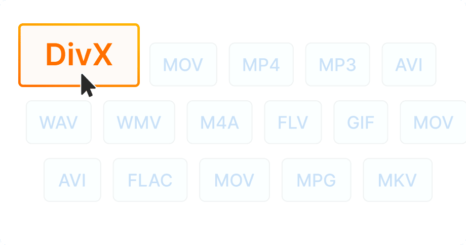 DivX-certified device compatibility