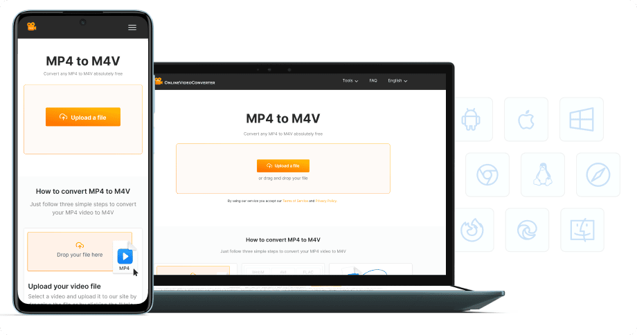 No software installation