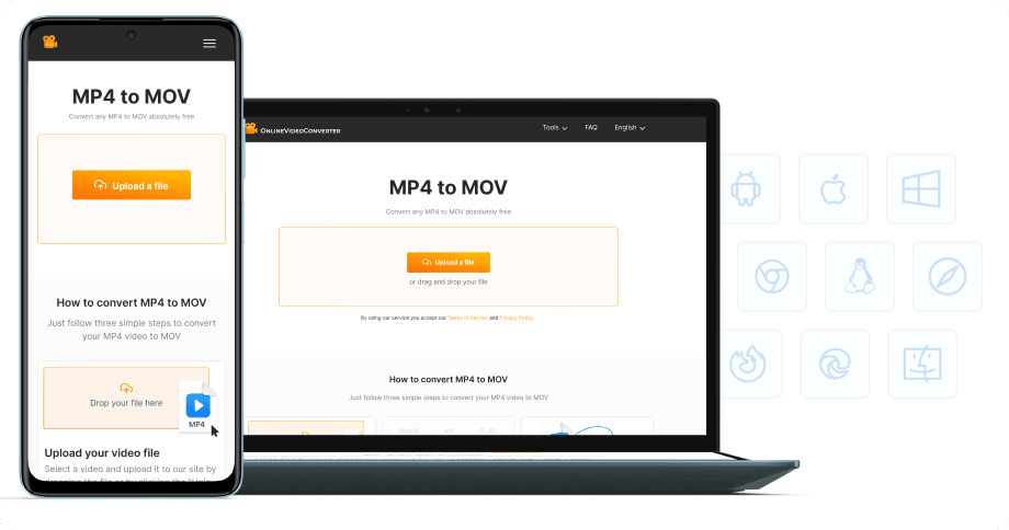 No software installation