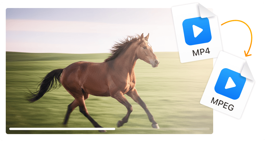 Perfect for DVD authoring