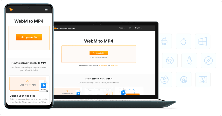 No software installation